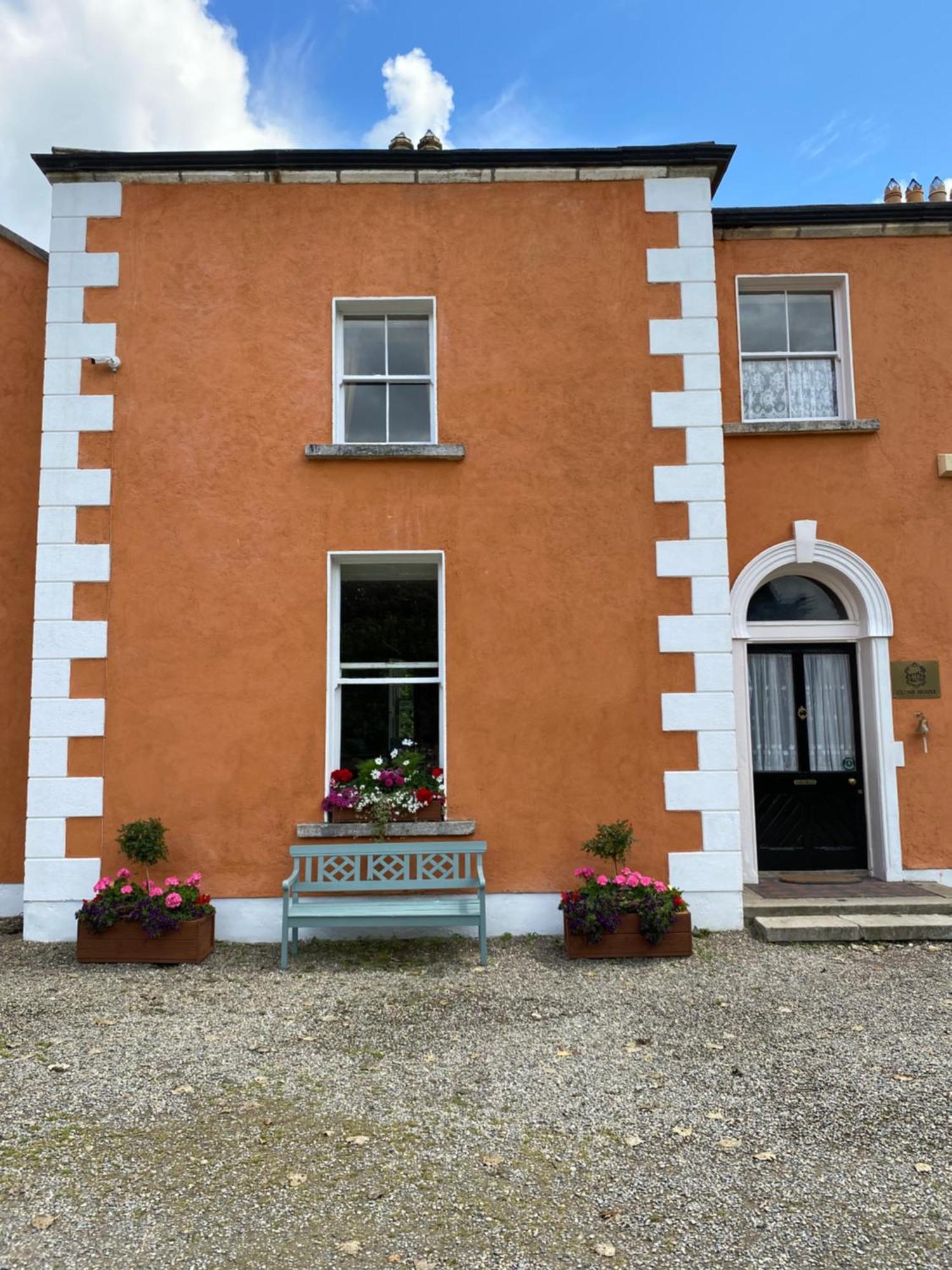 Clone Country House Aughrim Exteriör bild The front door of the former schoolhouse